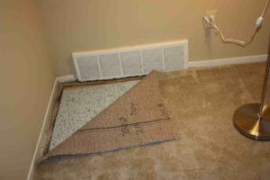Remove Mildew from Your Walls and Carpet-min