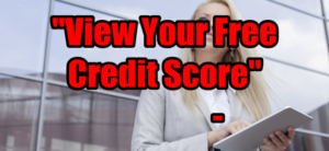 Fast Online Credit Report