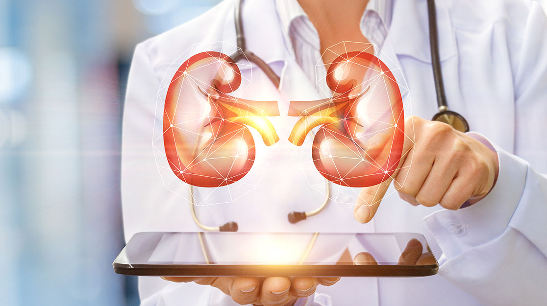 Why Go For Artificial Kidney Transplant in India?