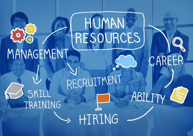 How to get started as a Human Resource in an Organization?