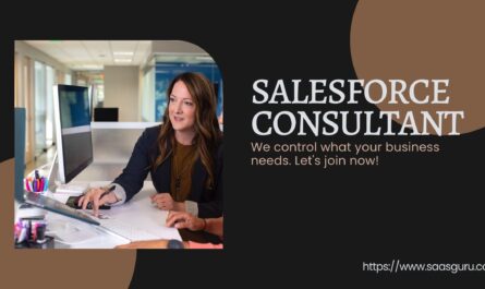 Salesforce Consultant