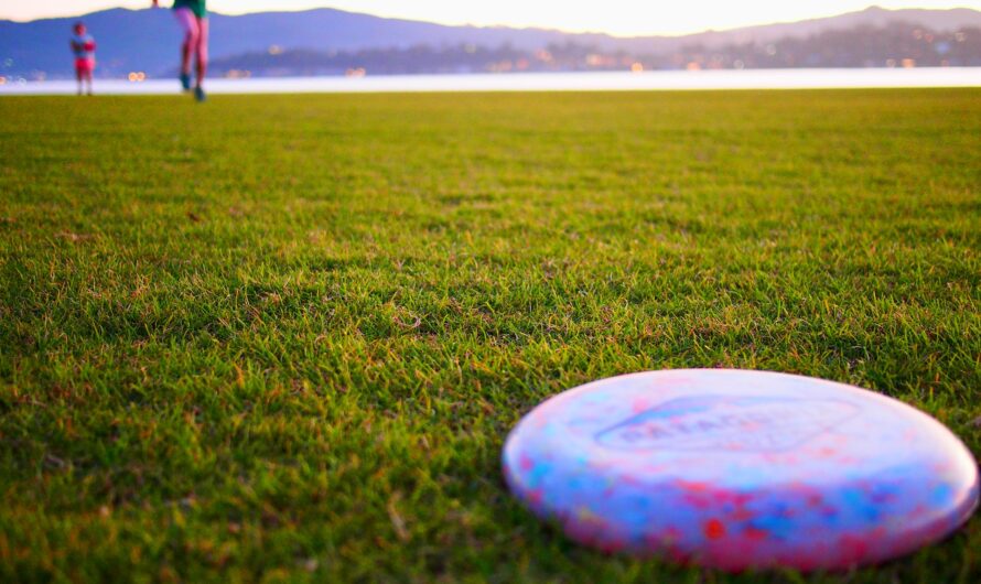 Iphone Xs Max Ultimate Frisbee Wallpaper
