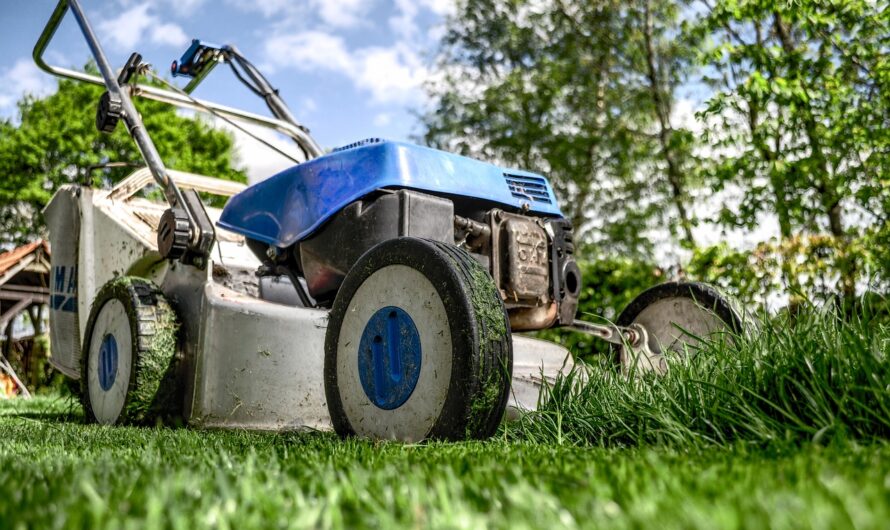 Basic Maintenance to Keep Your Garden Looking Great