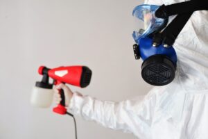 Garage Mold Removal Services: Call In The Professionals